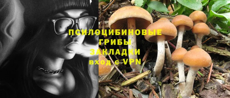 закладки  Борисоглебск  Галлюциногенные грибы Magic Shrooms 